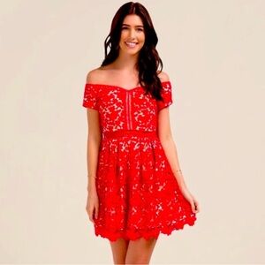 Francesca's Collections Red Lace Mini Dress